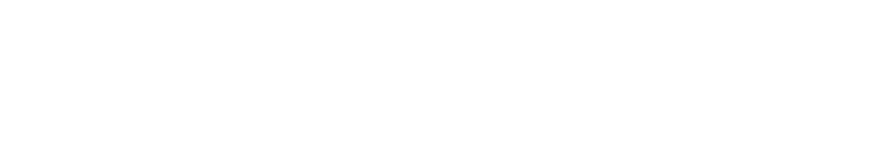 ㈜세종AI연구센터